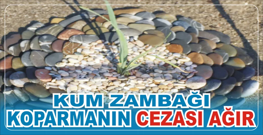 KUM ZAMBAĞI KOPARMANIN CEZASI AĞIR