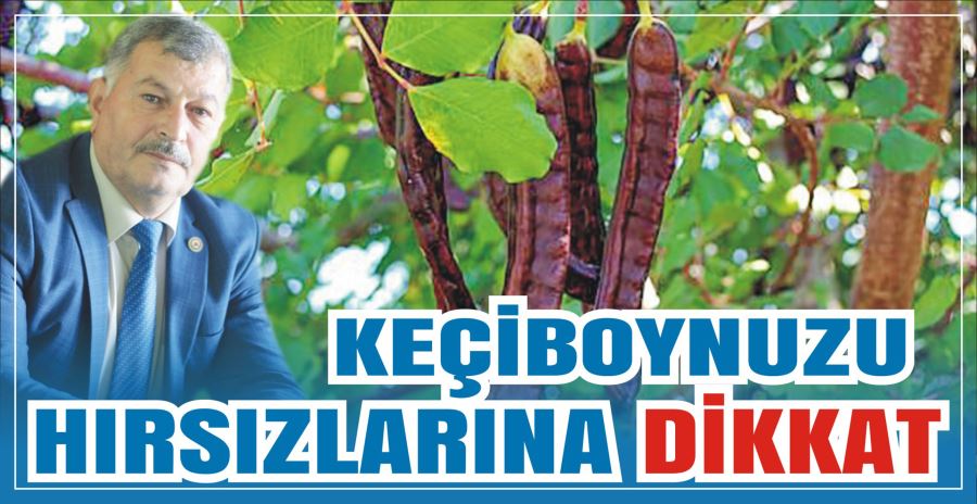 KEÇİBOYNUZU HIRSIZLARINA DİKKAT