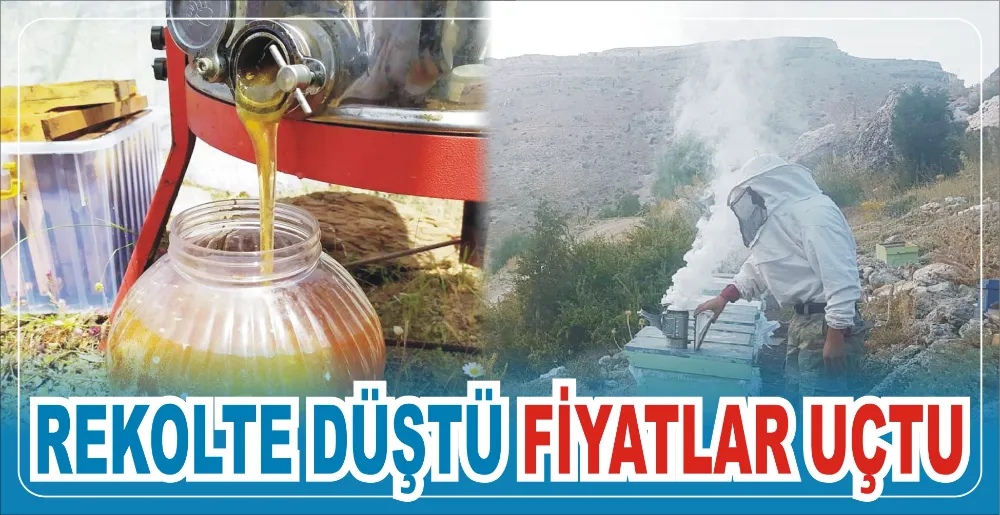 REKOLTE DÜŞTÜ FİYATLAR UÇTU