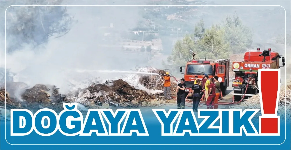 DOĞAYA YAZIK!