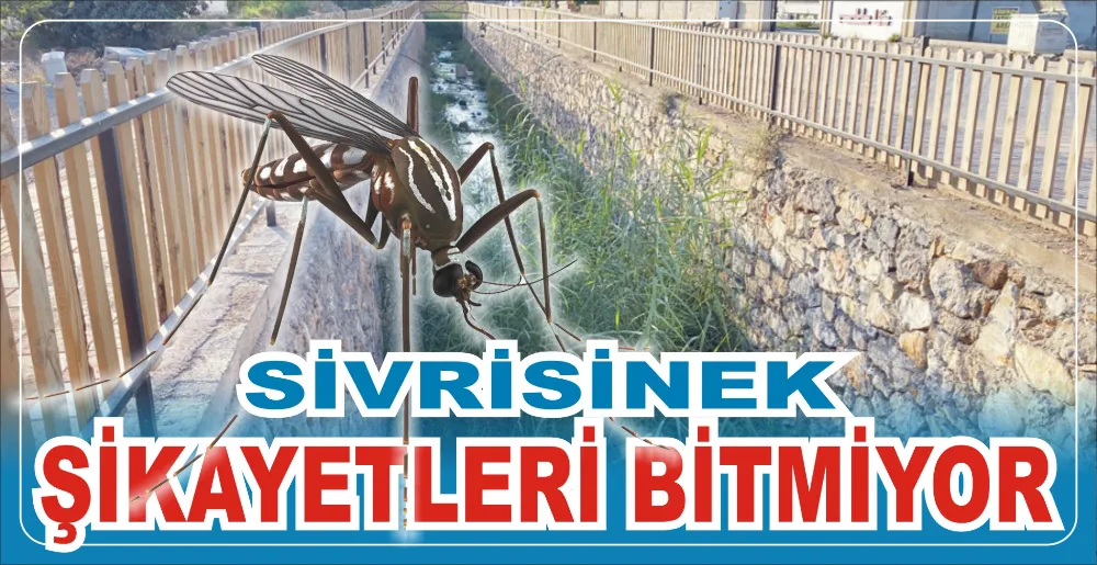 SİVRİSİNEK ŞİKAYETLERİ BİTMİYOR