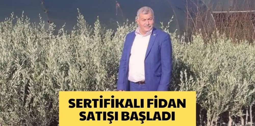 SERTİFİKALI FİDAN SATIŞI BAŞLADI