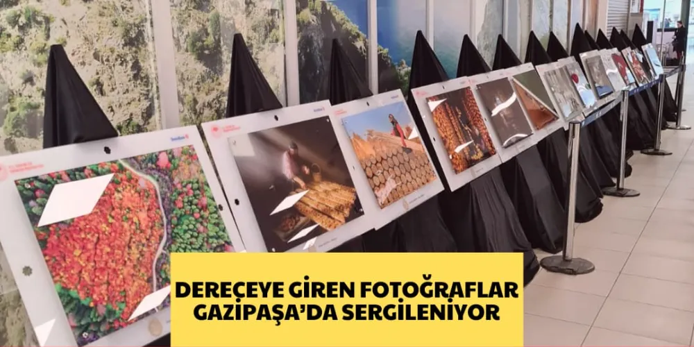 DERECEYE GİREN FOTOĞRAFLAR GAZİPAŞA