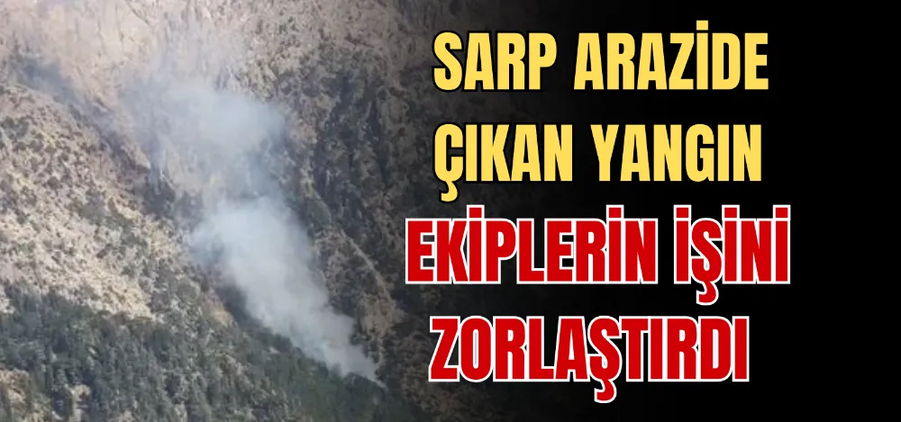 SARP ARAZİDE ÇIKAN YANGIN  EKİPLERİN İŞİNİ ZORLAŞTIRDI 