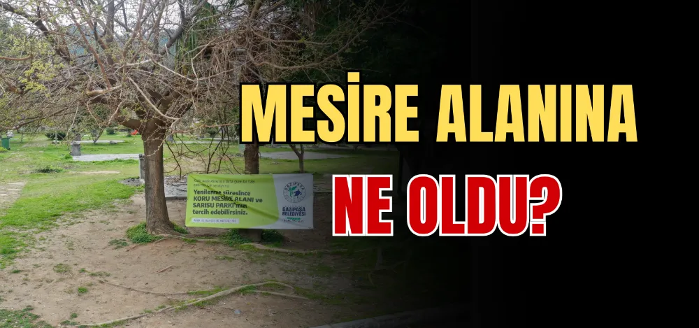 MESİRE ALANINA NE OLDU? 