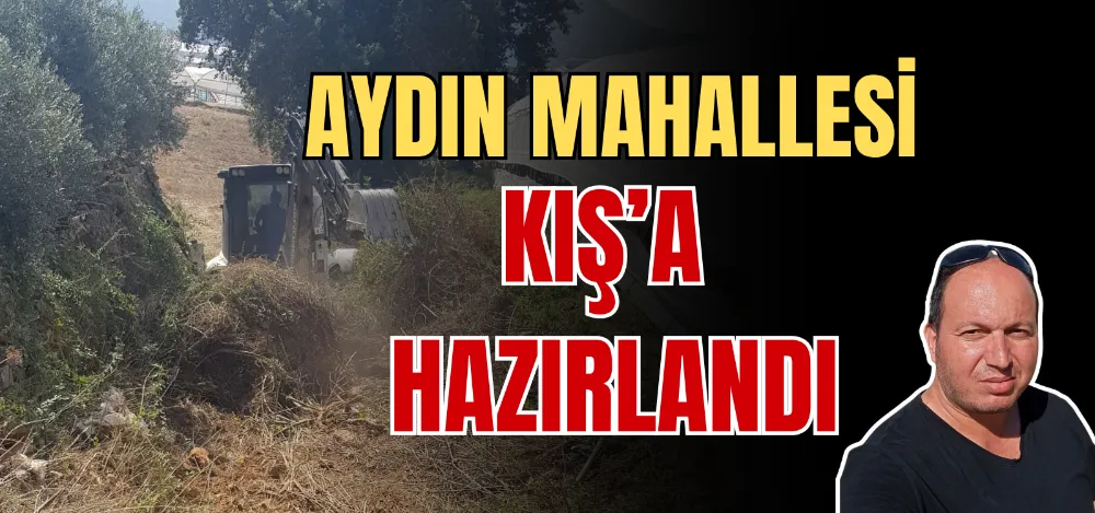 AYDIN MAHALLESİ KIŞ’A HAZIRLANDI 