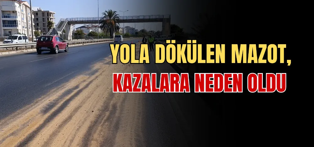 YOLA DÖKÜLEN MAZOT, KAZALARA NEDEN OLDU 