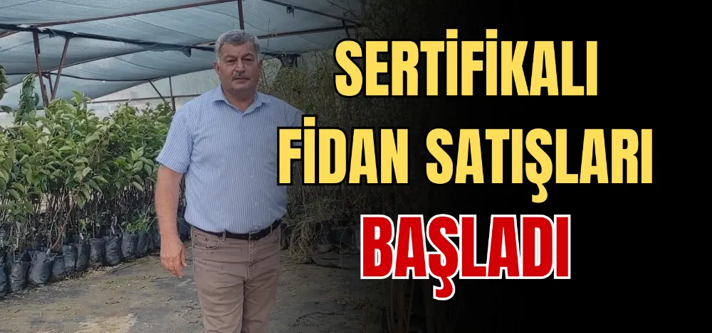 SERTİFİKALI FİDAN SATIŞLARI BAŞLADI 