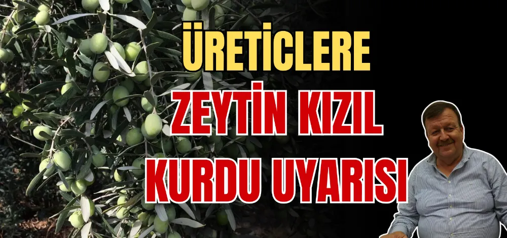 ÜRETİCLERE ZEYTİN KIZIL KURDU UYARISI 