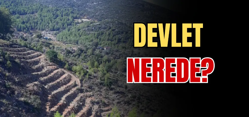 DEVLET NEREDE? 