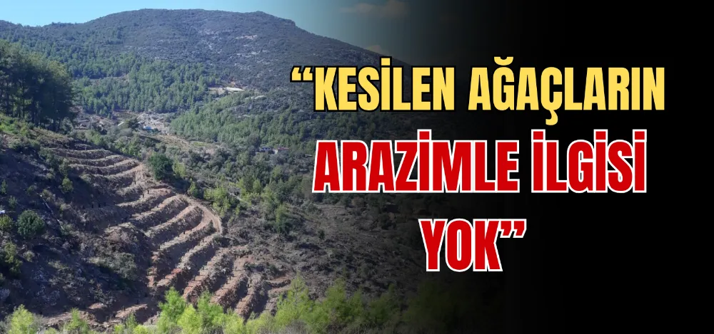 “KESİLEN AĞAÇLARIN ARAZİMLE İLGİSİ YOK” 