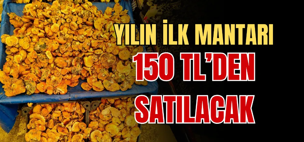 YILIN İLK MANTARI 150 TL’DEN SATILACAK 