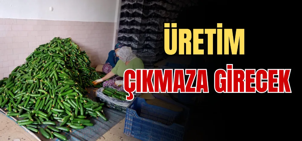 ÜRETİM ÇIKMAZA GİRECEK 