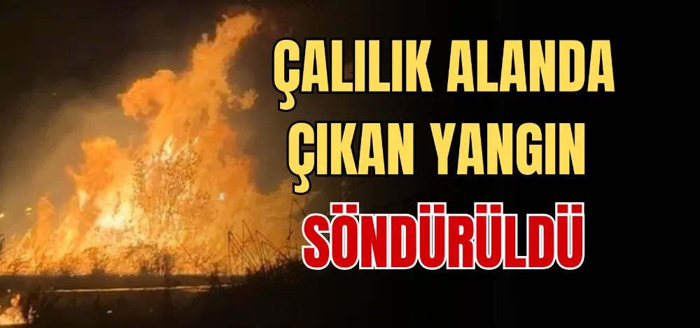 ÇALILIK ALANDA ÇIKAN YANGIN SÖNDÜRÜLDÜ 