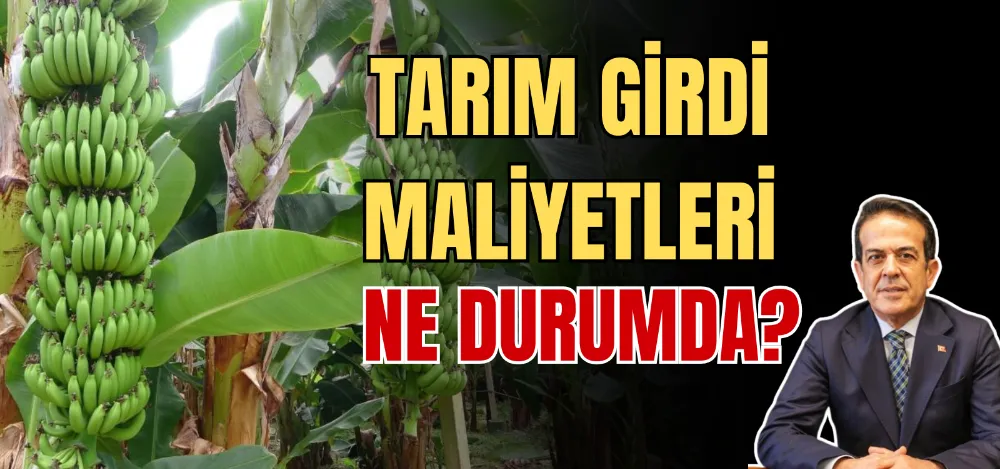 TARIM GİRDİ MALİYETLERİ NE DURUMDA? 