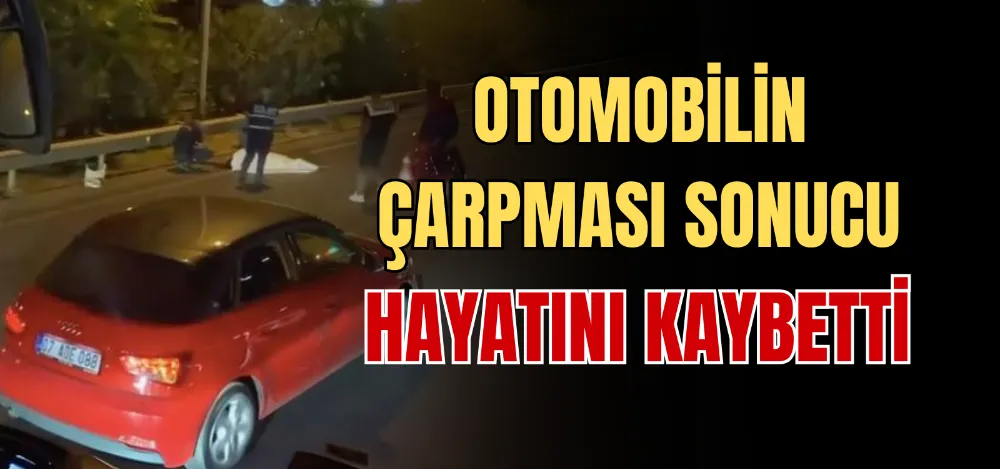 OTOMOBİLİN ÇARPMASI SONUCU HAYATINI KAYBETTİ 