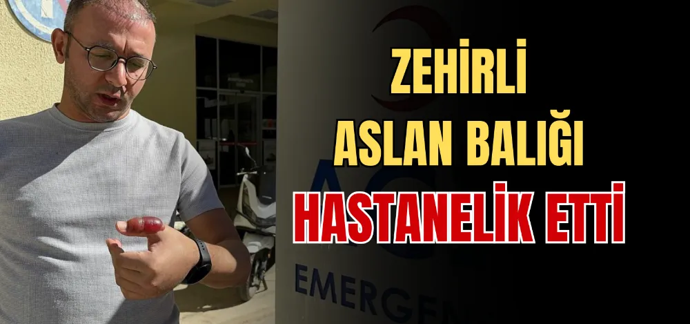 ZEHİRLİ ASLAN BALIĞI HASTANELİK ETTİ 