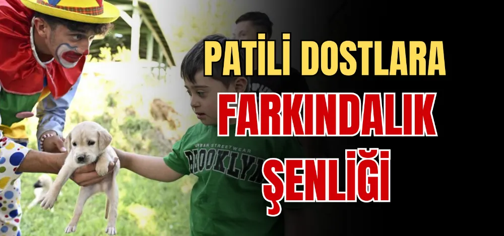 PATİLİ DOSTLARA FARKINDALIK ŞENLİĞİ 