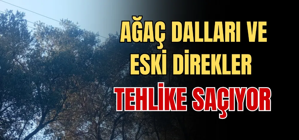 AĞAÇ DALLARI VE ESKİ DİREKLER TEHLİKE SAÇIYOR 