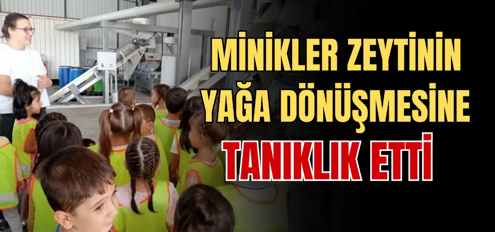 MİNİKLER ZEYTİNİN YAĞA DÖNÜŞMESİNE TANIKLIK ETTİ 