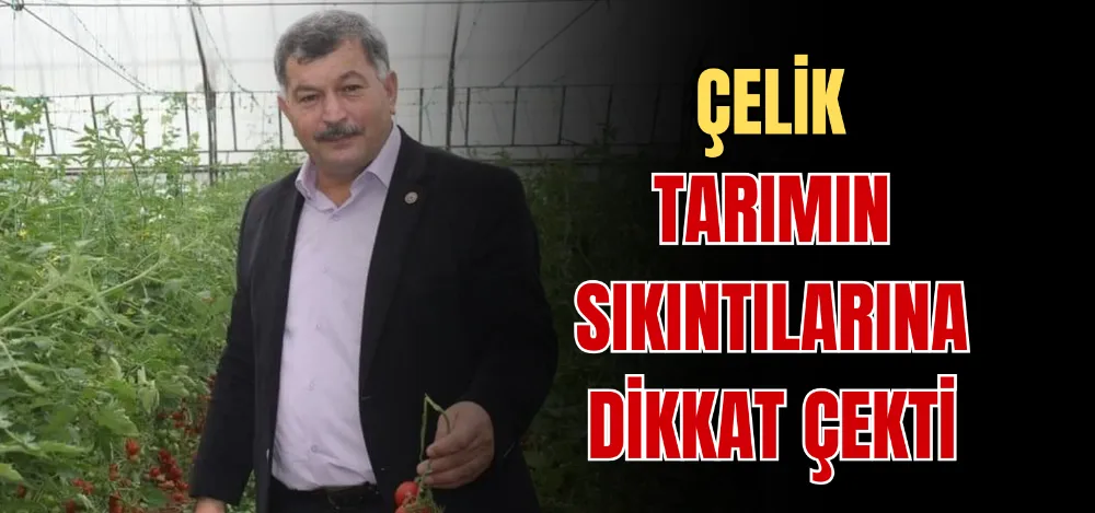 ÇELİK TARIMIN SIKINTILARINA DİKKAT ÇEKTİ 