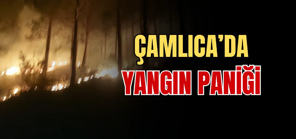 ÇAMLICA’DA YANGIN PANİĞİ 