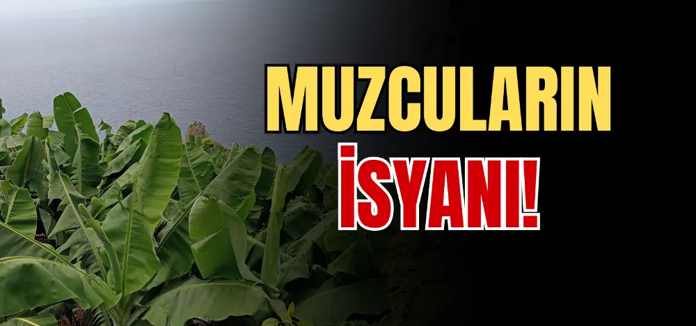 MUZCULARIN İSYANI! 