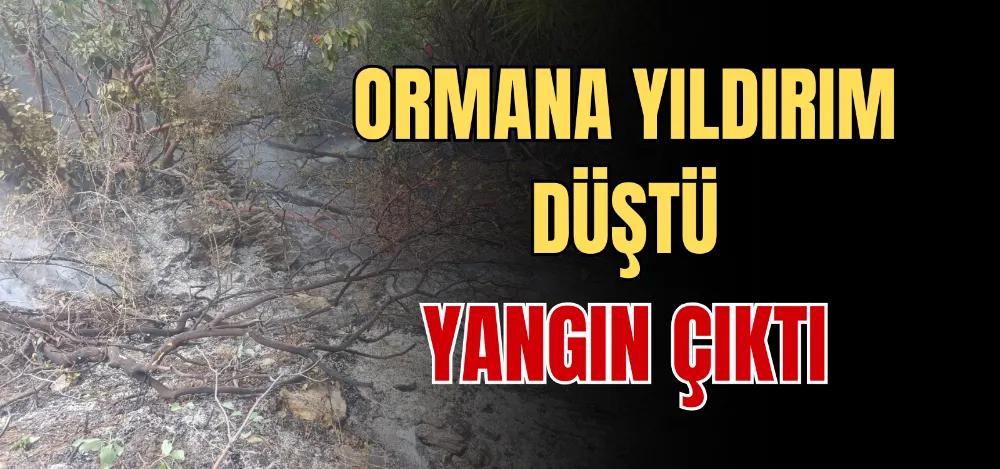 ORMANA YILDIRIM DÜŞTÜ YANGIN ÇIKTI 