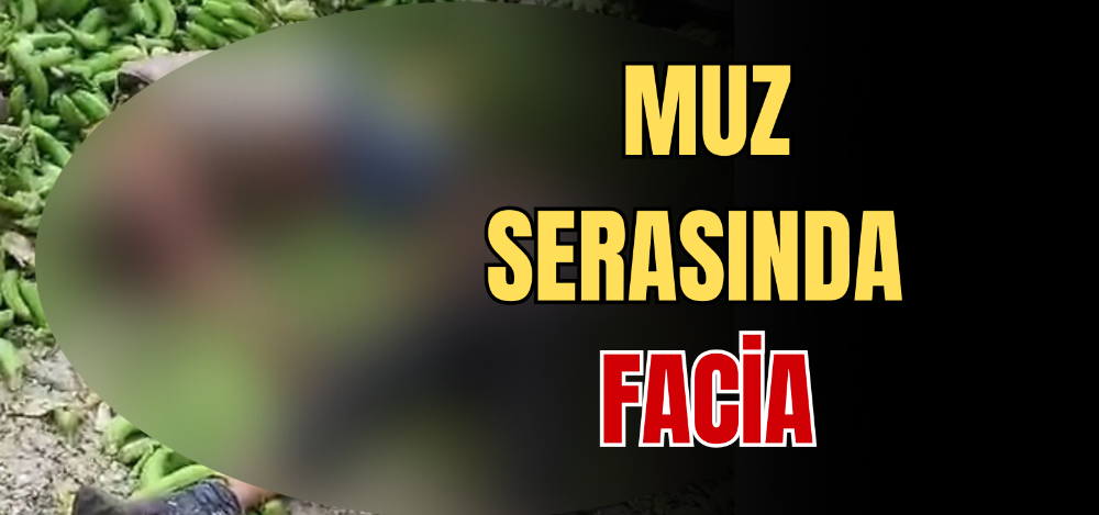 MUZ SERASINDA FACİA