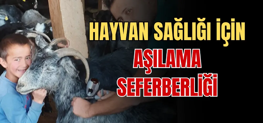  HAYVAN SAĞLIĞI İÇİN AŞILAMA SEFERBERLİĞİ