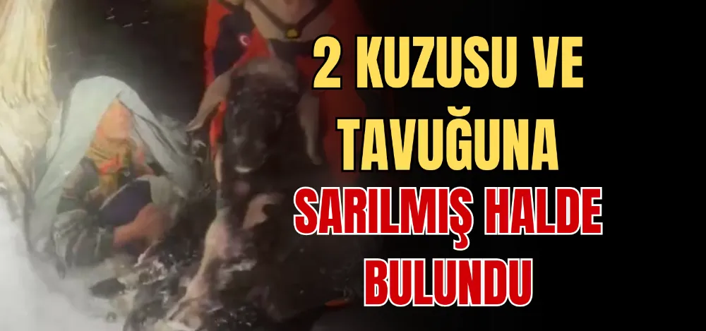 2 KUZUSU VE TAVUĞUNA SARILMIŞ HALDE BULUNDU 