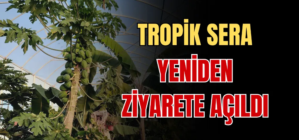 TROPİK SERA YENİDEN ZİYARETE AÇILDI 