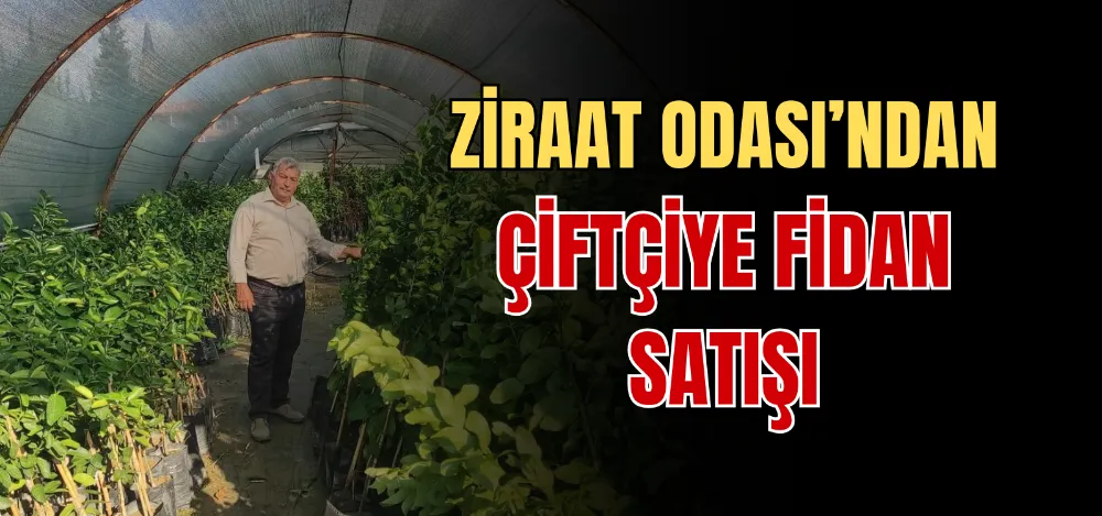 ZİRAAT ODASI’NDAN ÇİFTÇİYE FİDAN SATIŞI 