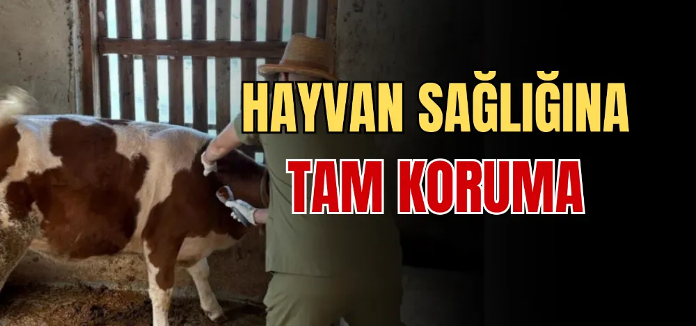 HAYVAN SAĞLIĞINA TAM KORUMA