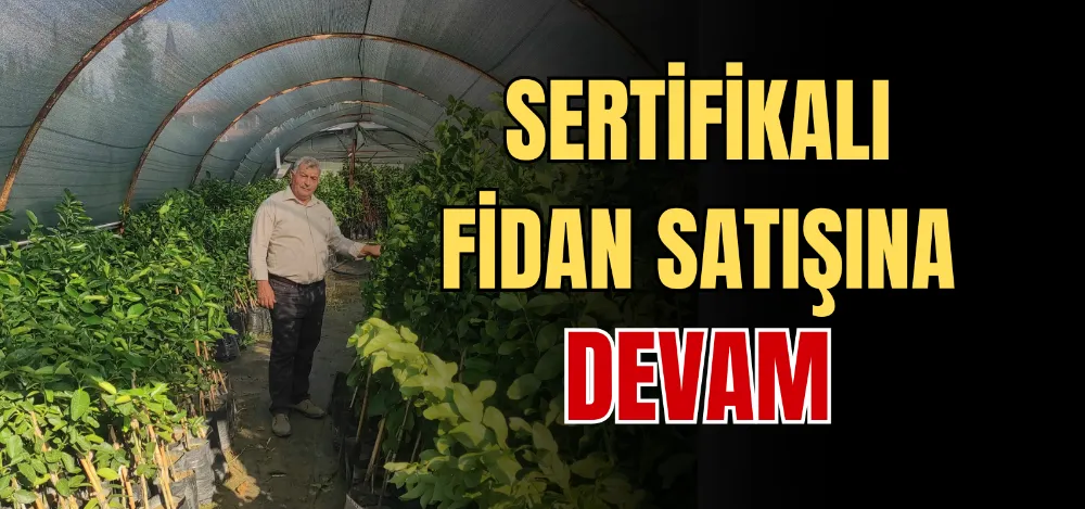 SERTİFİKALI FİDAN SATIŞINA DEVAM  