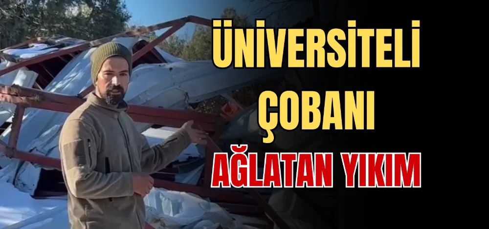 ÜNİVERSİTELİ ÇOBANI AĞLATAN YIKIM 