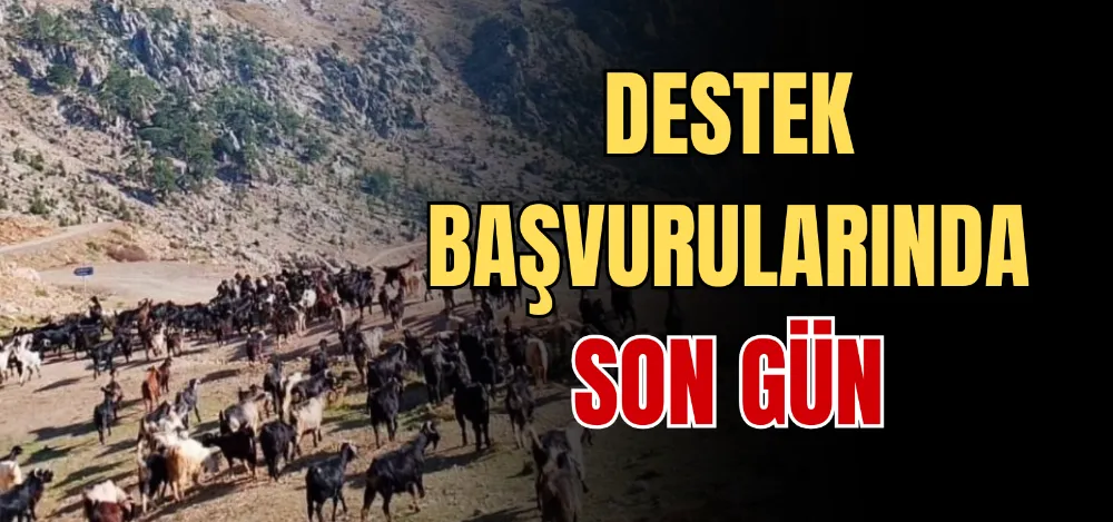 DESTEK BAŞVURULARINDA SON GÜN 