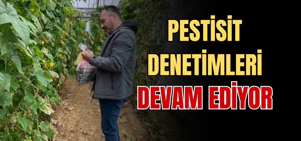 PESTİSİT DENETİMLERİ DEVAM EDİYOR