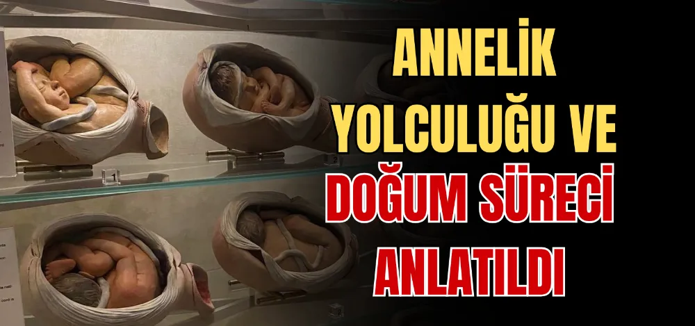 ANNELİK YOLCULUĞU VE DOĞUM SÜRECİ ANLATILDI 