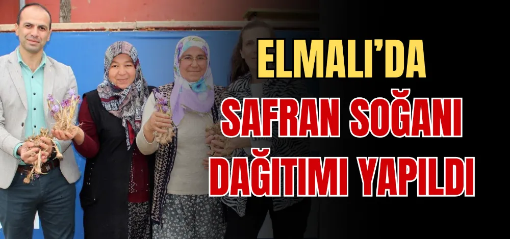 ELMALI’DA SAFRAN SOĞANI DAĞITIMI YAPILDI 