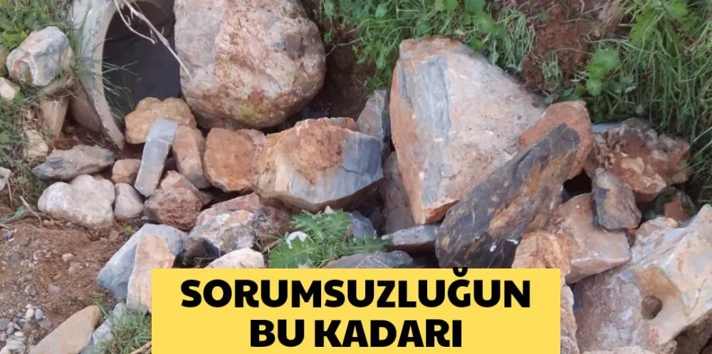 SORUMSUZLUĞUN BU KADARI