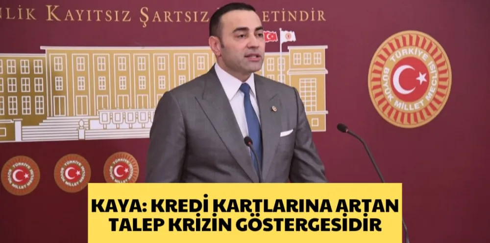 KAYA: KREDİ KARTLARINA ARTAN TALEP KRİZİN GÖSTERGESİDİR