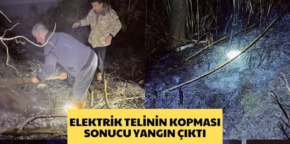 ELEKTRİK TELİNİN KOPMASI SONUCU YANGIN ÇIKTI