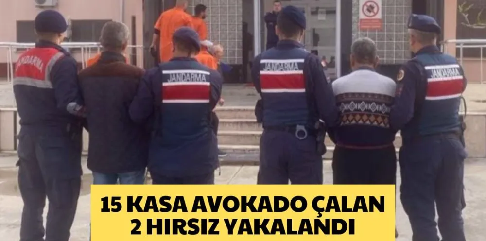 15 KASA AVOKADO ÇALAN 2 HIRSIZ YAKALANDI