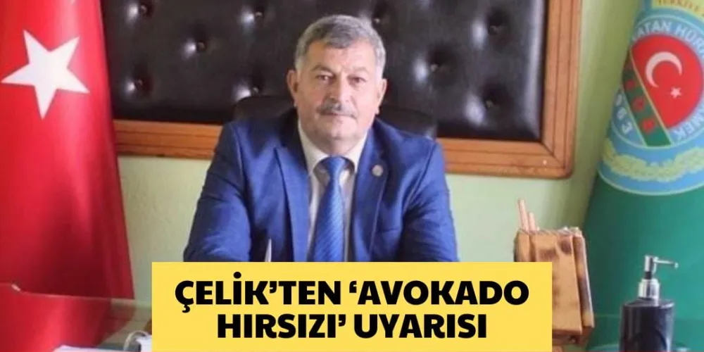 ÇELİK’TEN ‘AVOKADO  HIRSIZI’ UYARISI