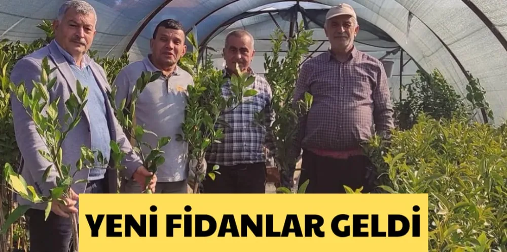 YENİ FİDANLAR GELDİ