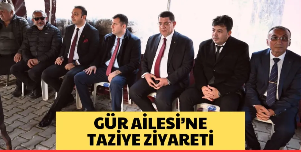 GÜR AİLESİ