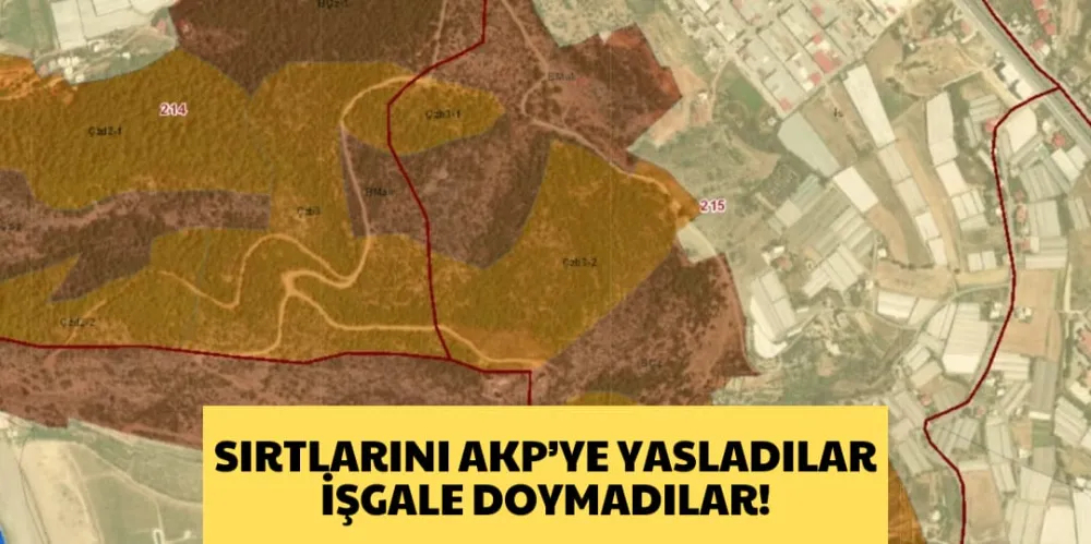 SIRTLARINI AKP’YE YASLADILAR İŞGALE DOYMADILAR!