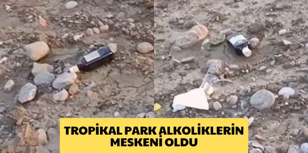 TROPİKAL PARK ALKOLİKLERİN MESKENİ OLDU