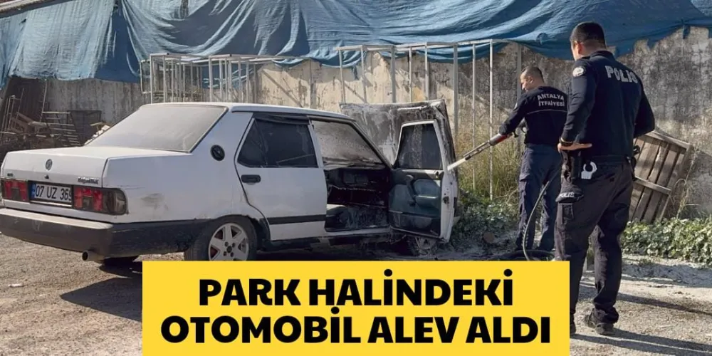 Park halindeki otomobil alev aldı